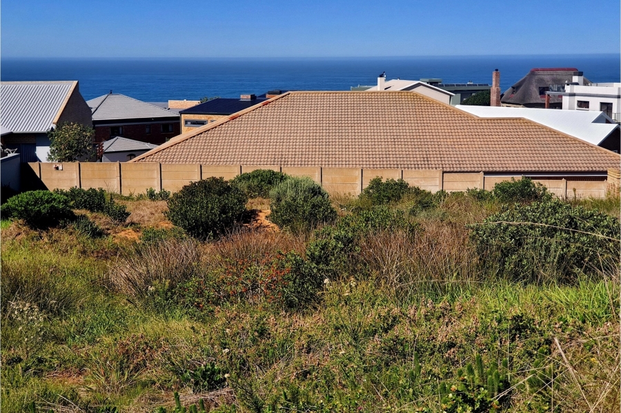 0 Bedroom Property for Sale in Jongensfontein Western Cape